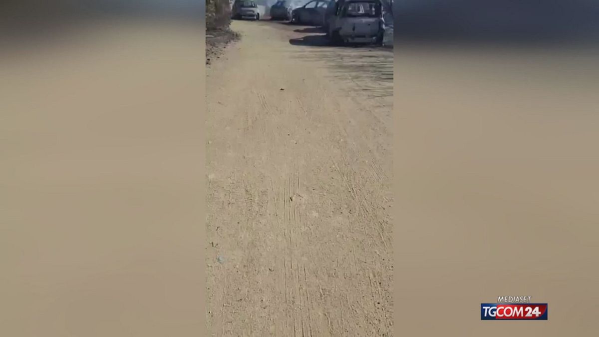 Motovedetta Della Guardia Cost