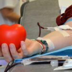 Nessun Allarme Per Il Virus West Nile Nella Provincia Dell’aquila: Donare Sangue Resta Sicuro E Necessario