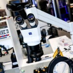 Nuova Scoperta Sul Ruolo Delle Cellule Staminali Muscolari Nella Comunicazione Con I Motoneuroni Nella Sla