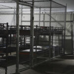 Nuovo Centro Di Detenzione Temporaneo Alligator Alcatraz Apre Nel Cuore Delle Everglades In Florida