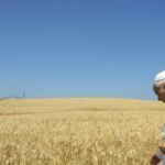 Nuovo Formulario Per La Messa Dedicata Alla Custodia Della Creazione Approvato Da Papa Leone Xiv