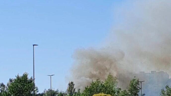 Nuovo Incendio Nelle28099Area Ex Na