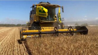 Oltre 770Mila Aziende Agricole