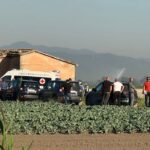 Omicidio A Trasacco, Bracciante Investito Con Trattore Dopo Una Lite Nei Campi Del Fucino: I Dettagli