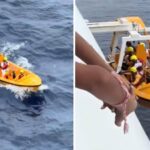 Padre Si Tuffa In Mare Per Salvare La Figlia Di 5 Anni Caduta Da Una Nave Da Crociera Disney Dream