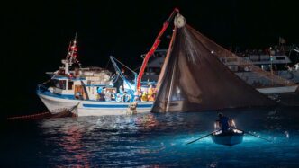 Pesca Alle Alici E La Colatura