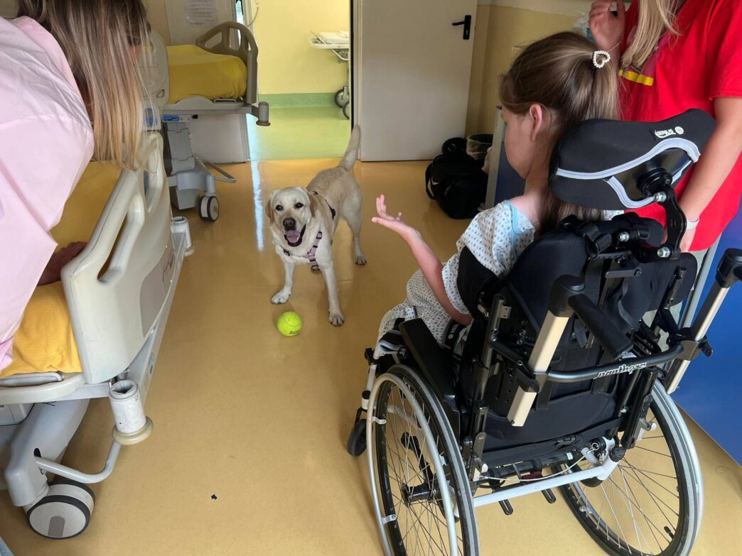 Pet Therapy Per Bambini Con Sm