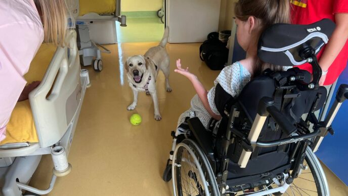 Pet Therapy Per Bambini Con Sm