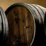 Più Sicurezza E Sostenibilità In Cantina Con L’azoto Per Migliorare Le Caratteristiche Nutrizionali Del Vino Novello