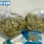 Polizia Arresta 30Enne Ad Ancona Con Oltre 240 Grammi Di Marijuana E Lsd In Casa