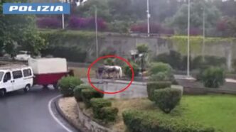 Polizia Di Catania Denuncia Pr