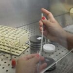 Problemi Con La Legionella Nelle Case Popolari Di Bologna, Sospesa L’acqua Calda Pending Analisi