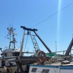 Proteste In Porto A Pescara Per Mancato Dragaggio Dei Fondali Del Fiume: La Marineria Chiama All’azione