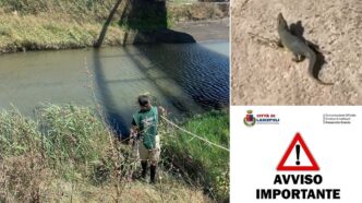 Psicosi A Ladispoli Per La Seg