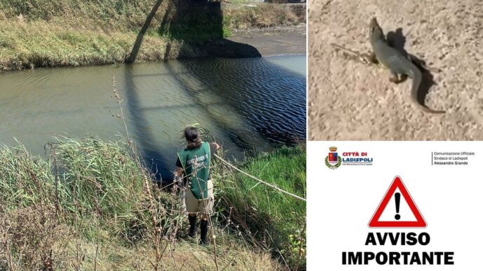 Psicosi A Ladispoli Per La Seg