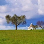 Puglia, Un Modello Di Sviluppo Tra Turismo, Cultura E Investimenti Al Centro Del Workshop A Roma