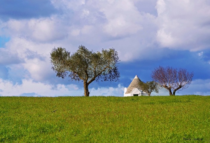 Puglia2C Un Modello Di Sviluppo