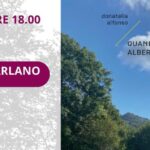 Quando Gli Alberi Parlano, La Storia Di Un Amore E Di Tradimenti Nell’entroterra Ligure Del 1944