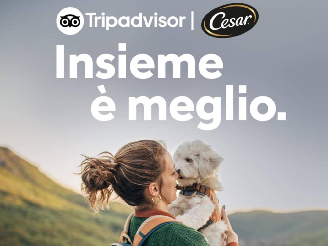 Quasi La Metc3A0 Dei Proprietari