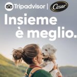 Quasi La Metà Dei Proprietari Di Cani In Italia Lascia A Casa Il Proprio Animale Durante Le Vacanze