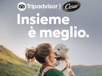 Quasi La Metc3A0 Dei Proprietari