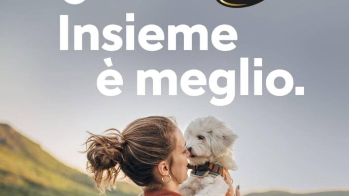 Quasi La Metc3A0 Dei Proprietari