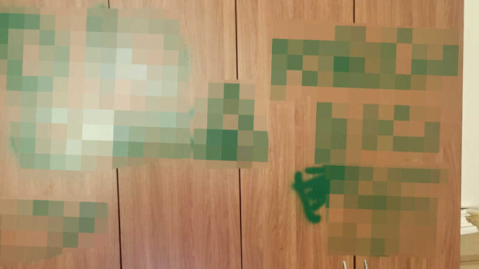 Raid Vandalico Al Centro Anzia