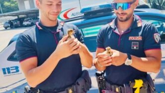 Rallentamenti Sull27Autostrada