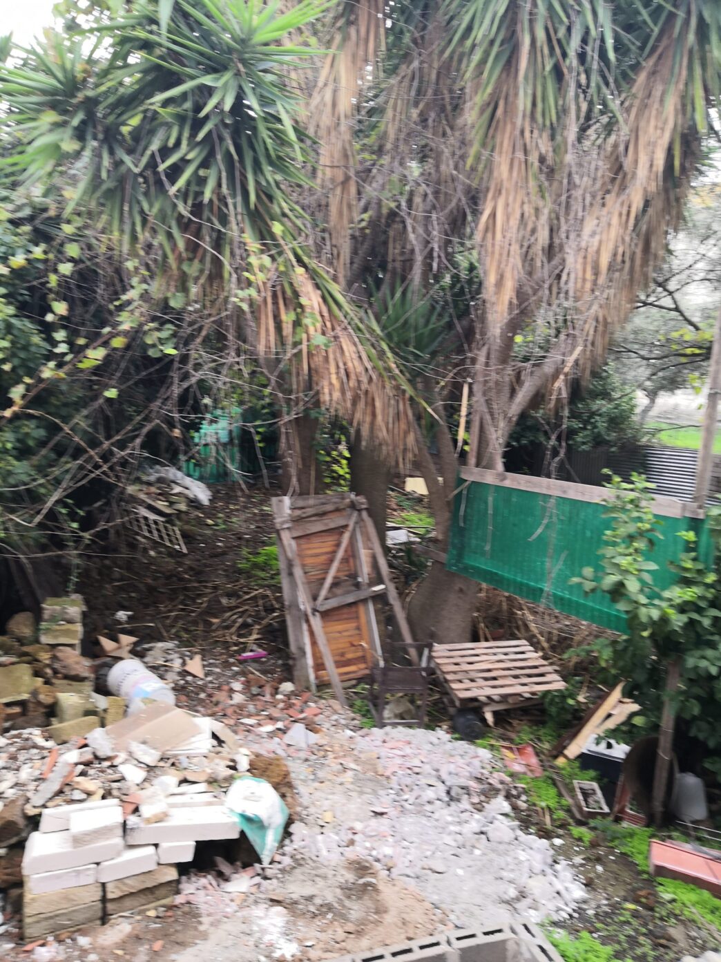 Residenti Di Cerveteri Segnala