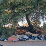 Rifiuti Abbandonati Lungo La Strada Provinciale Settevene Palo Nuova A Cerveteri: La Denuncia Del M5S