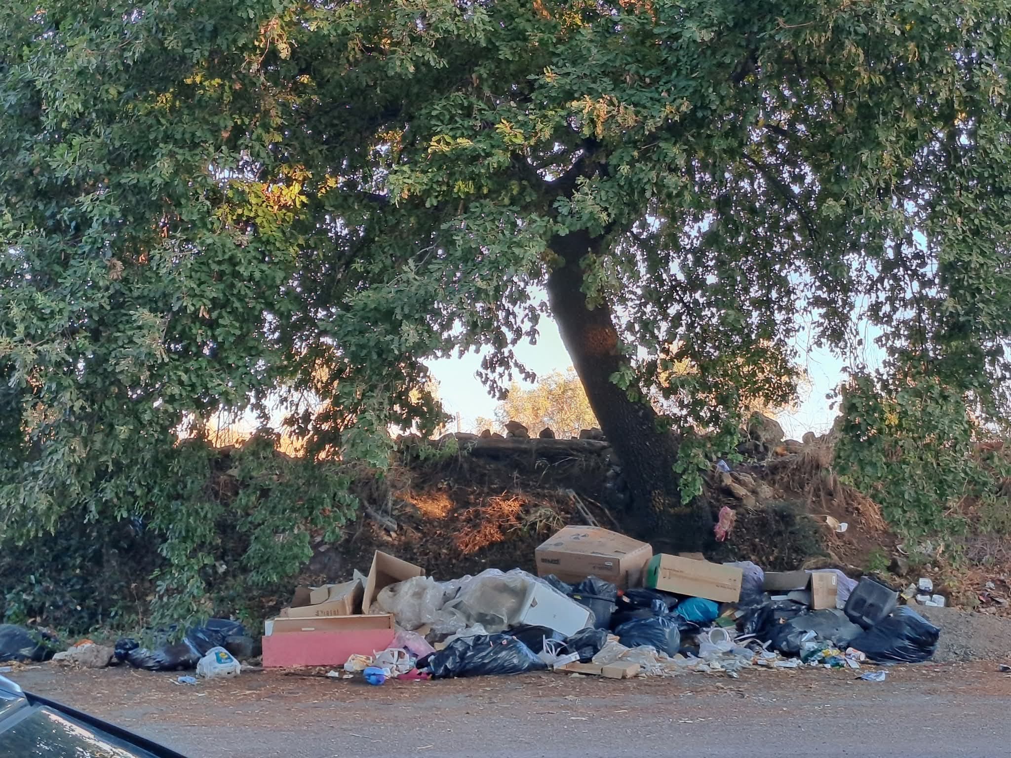 Rifiuti Abbandonati Lungo La S
