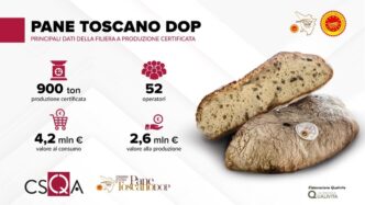 Rinnovo Autorizzazione A Csqa