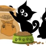 Santa Marinella, Distribuite Due Tonnellate Di Cibo Per I Gatti Delle Colonie Feline Comunali