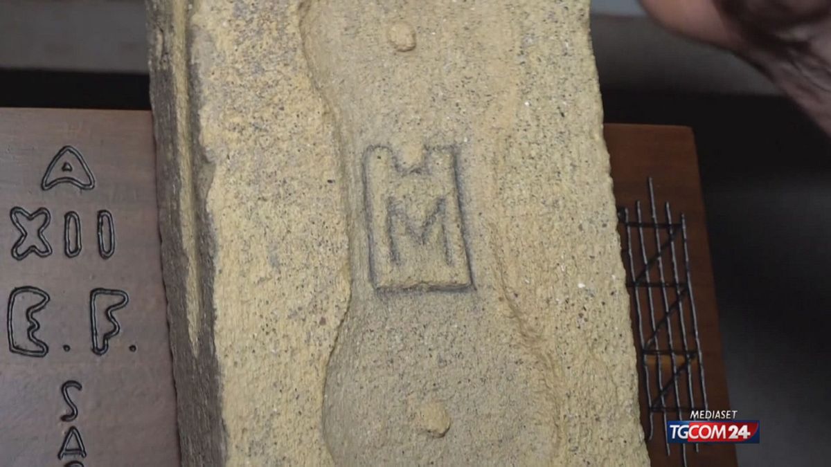 Scoperta E Raccolta Dei Matton