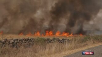 Sedici Incendi In Sicilia Il 1