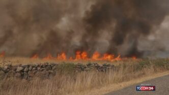 Sedici Incendi In Sicilia Il 1