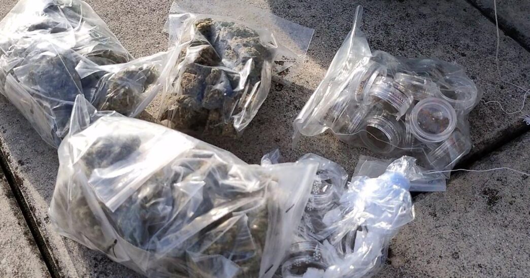Sequestrata Marijuana Nascosta