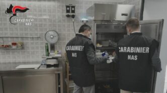 Sequestrate Una Tonnellata Di