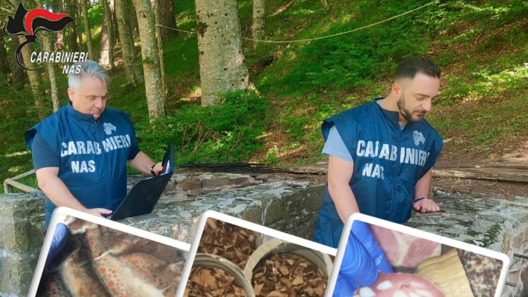 Sequestrato Oltre 700 Chili Di
