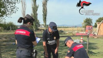 Sequestro Di 12 Cani In Un All