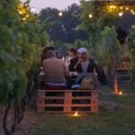 Serate Estive In Vigna Ad Albanella Tra Musica Dal Vivo Vino E Cucina A Chilometro Zero
