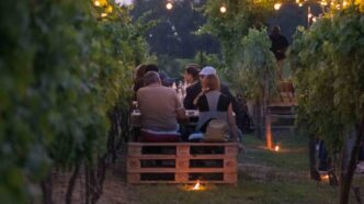 Serate Estive In Vigna Ad Alba