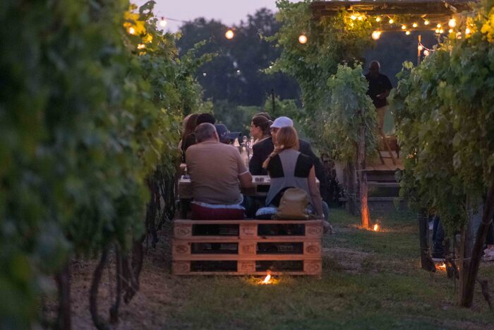 Serate Estive In Vigna Ad Alba