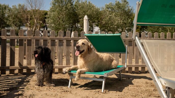 Sette Spiagge Attrezzate Per C