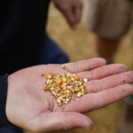Slow Food Chiede Norme Uguali Per Pesticidi Su Prodotti Importati E Coltivazioni Comunitarie