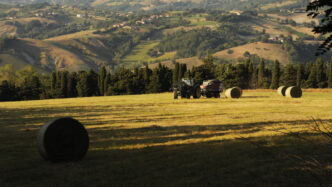 Spighe Verdi 20253A Novanta Loc
