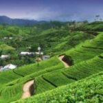 Sri Lanka Estende Il Visto Gratuito All’arrivo A 40 Paesi Inclusa L’italia Per Rilanciare Il Turismo