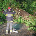 Strada Provinciale 4 Chiusa Tra Baldissero Torinese E Pavarolo Per Alberi Caduti Dopo Temporali