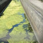 Sversamento Di Liquami A Lamezia Terme, Trovata Condotta Fognaria Danneggiata Che Inquina Il Torrente Bagni E Il Mare