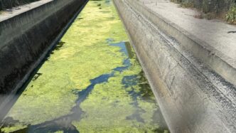 Sversamento Di Liquami A Lamez